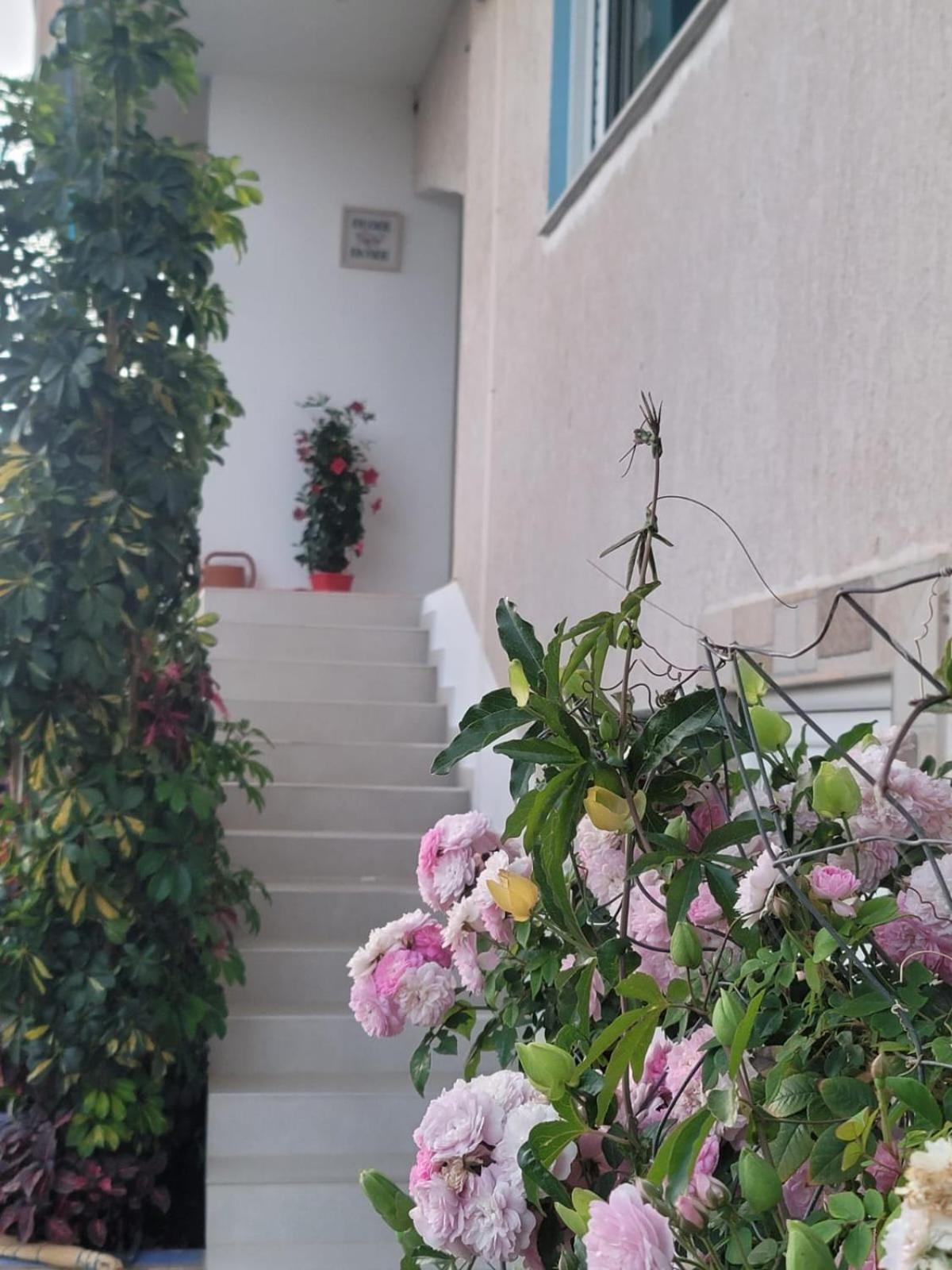 Selami Sea View Apartments Lukovë المظهر الخارجي الصورة